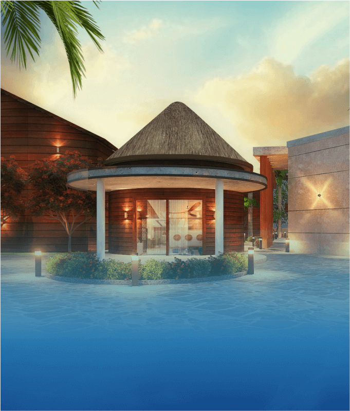 Palm Island